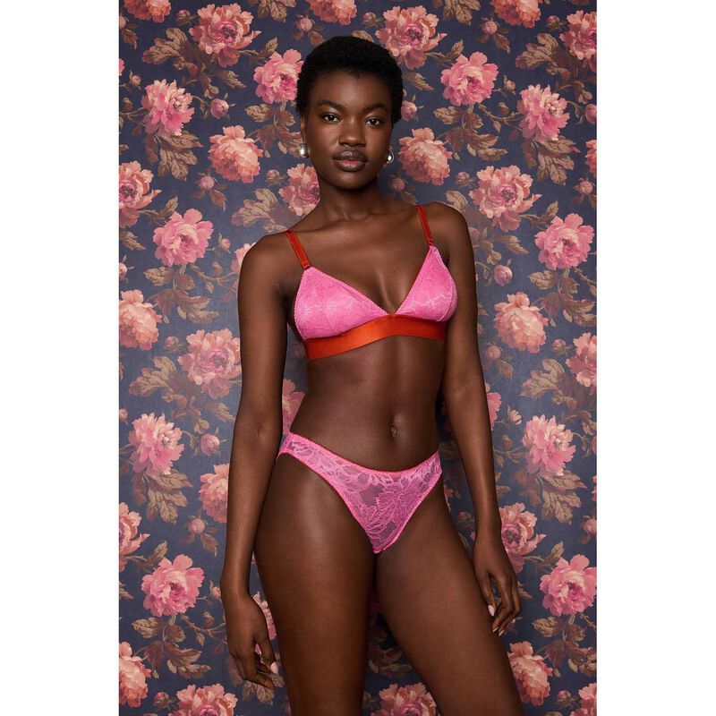 Dora Larsen Rosamund All Over Lace Knicker image number 1